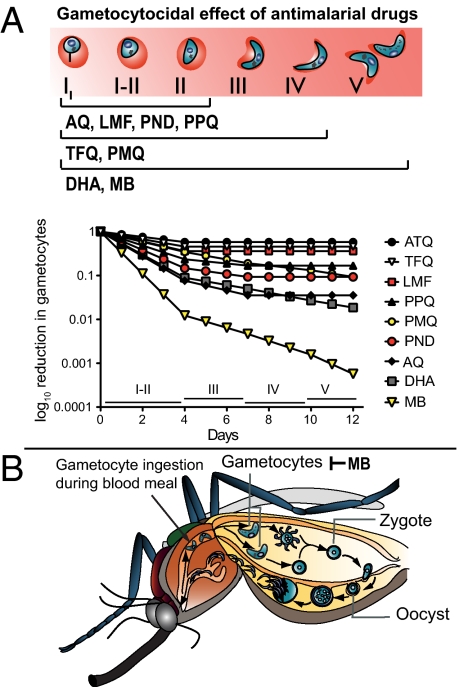 Fig. P1.