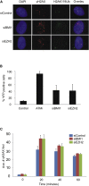 Figure 5