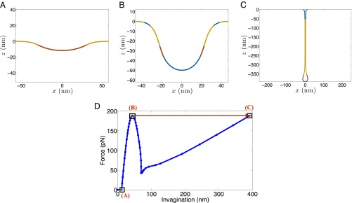 Fig. 3.