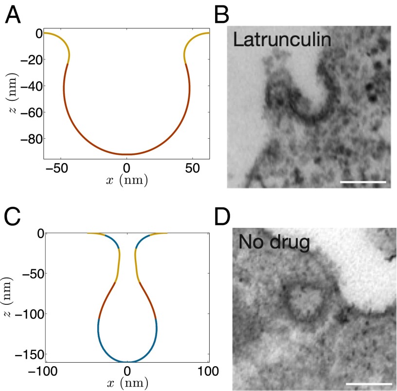 Fig. 8.