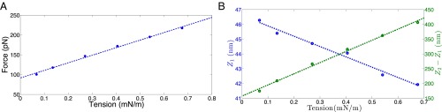 Fig. 9.