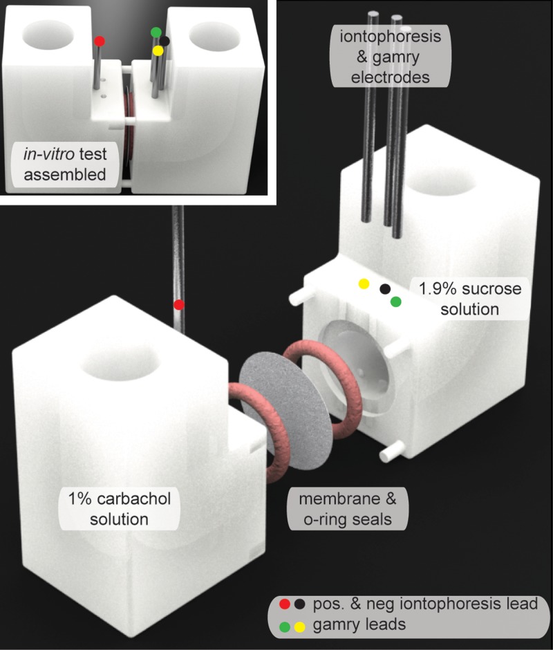 FIG. 1.