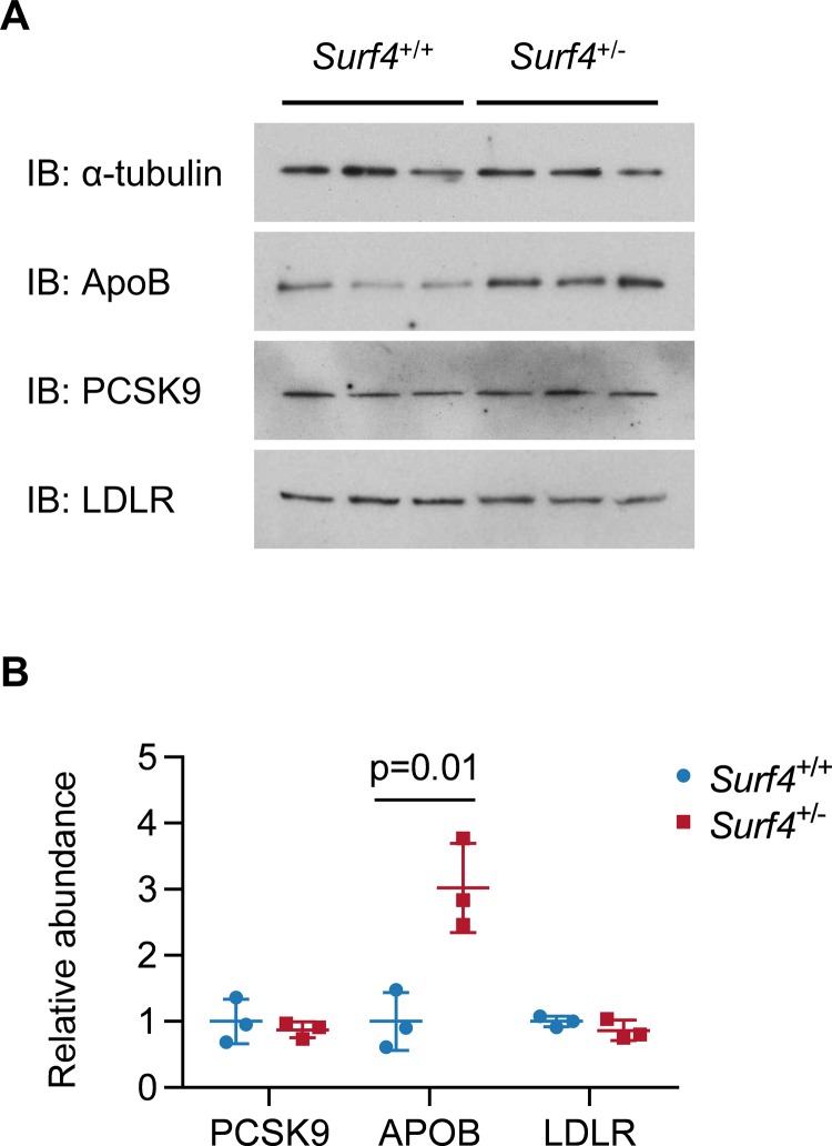 Fig 4