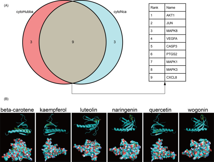 Figure 6