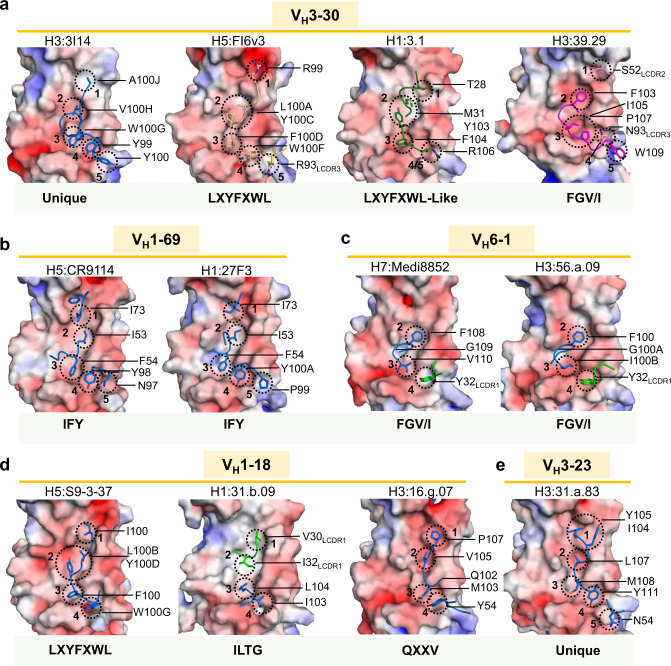 Fig. 7