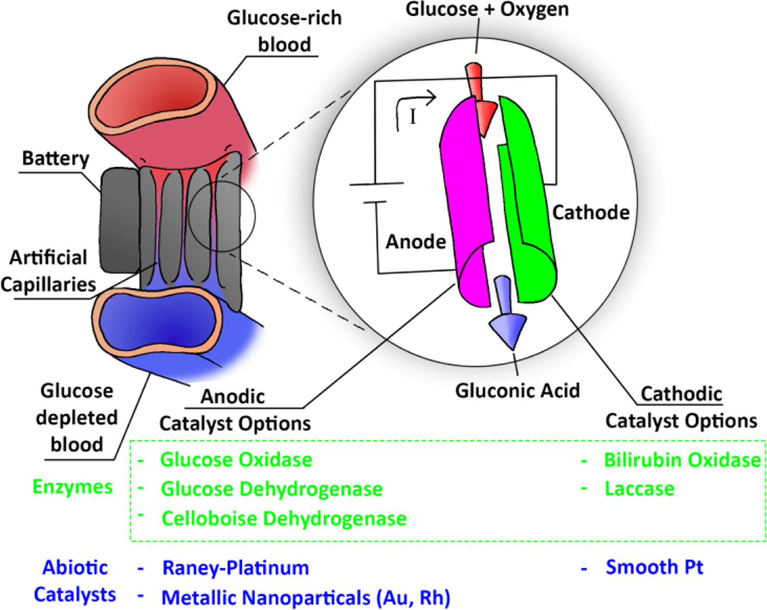 Figure 1: