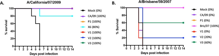 FIG 2