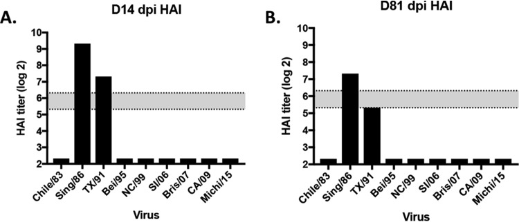 FIG 10