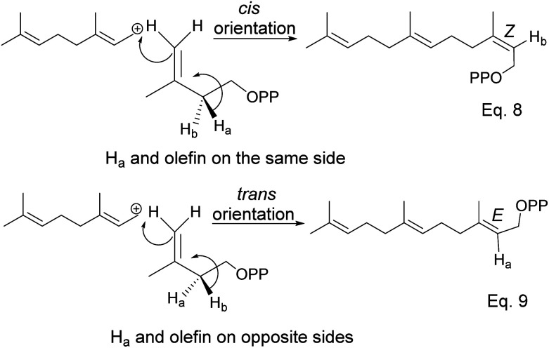 Scheme 6