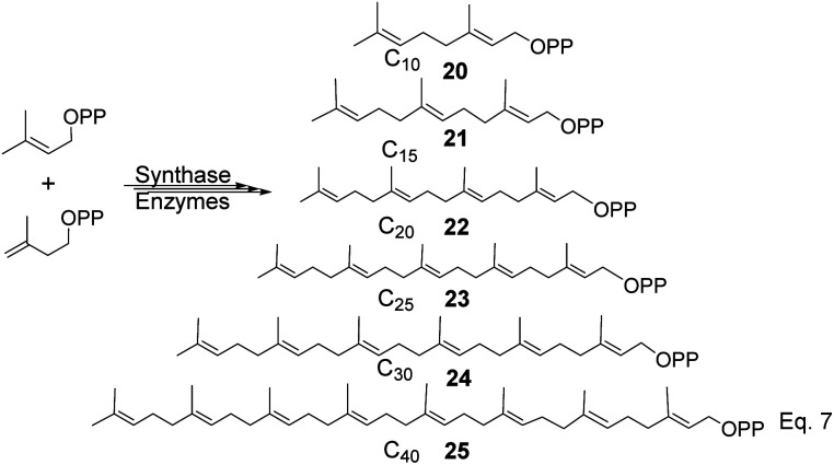 Scheme 5