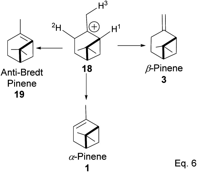 Scheme 4