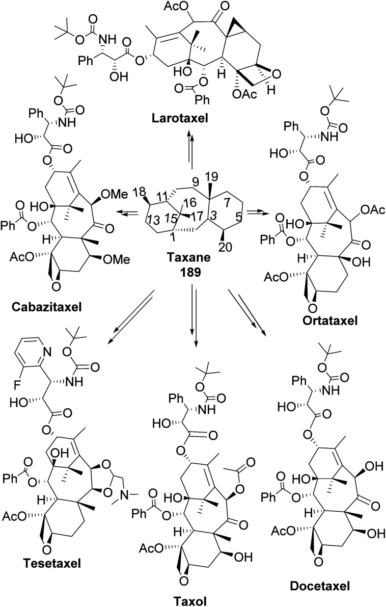 Fig. 16