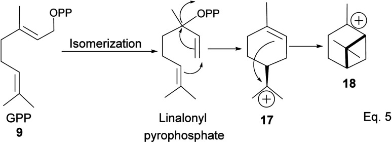 Scheme 3