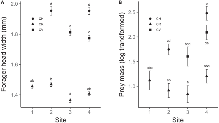 Figure 3