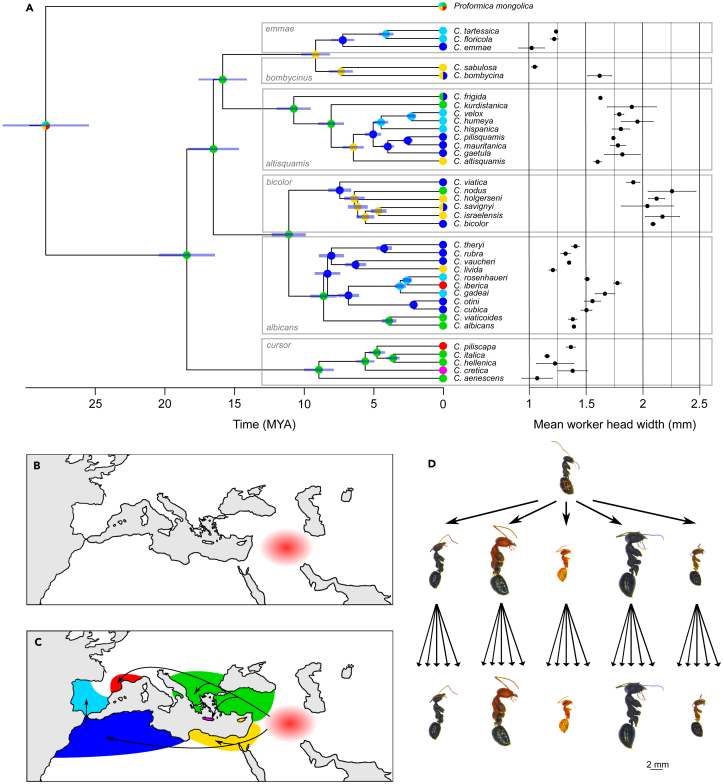 Figure 1