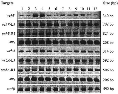 FIG. 3.