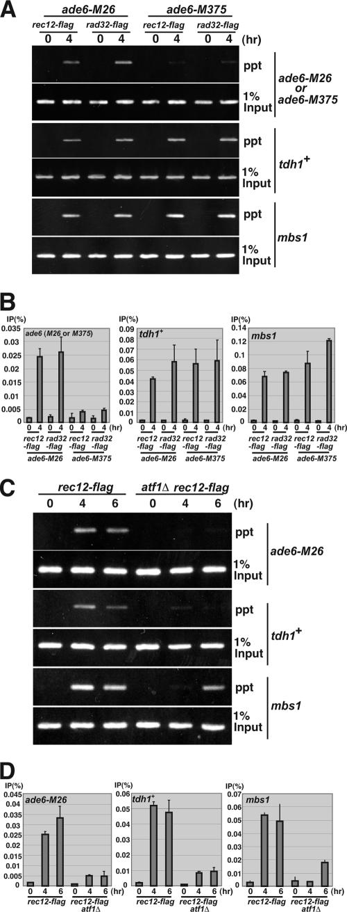 FIG. 6.