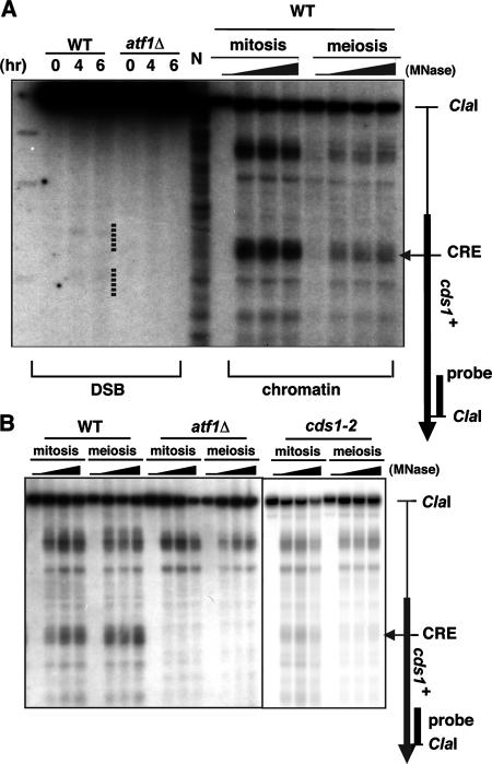 FIG. 7.