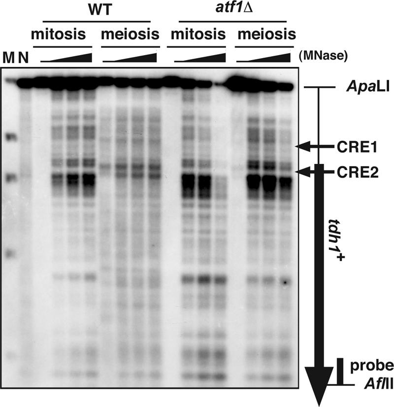 FIG. 2.