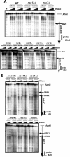 FIG. 3.