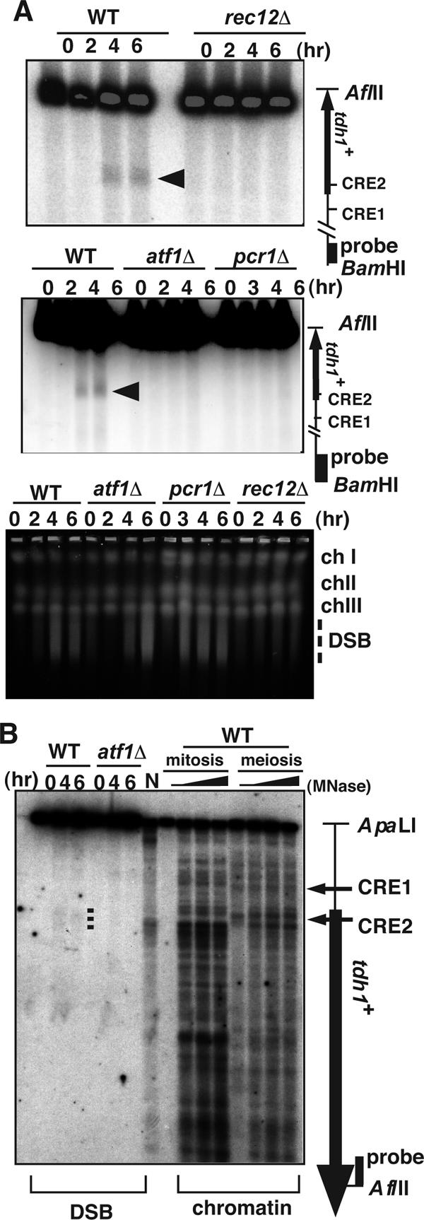 FIG. 5.