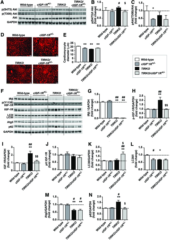 FIG. 6.