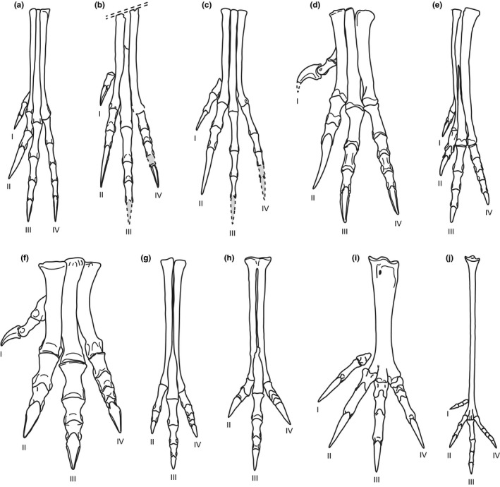 Figure 8