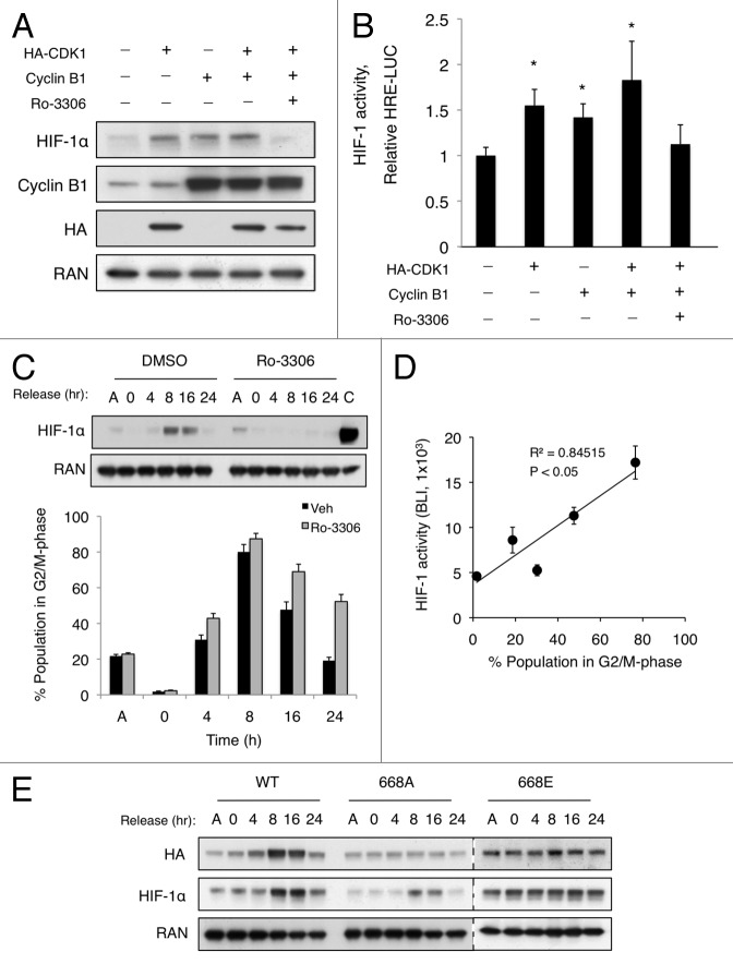 Figure 4. 