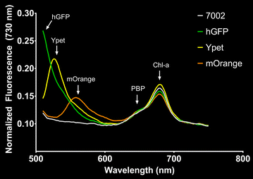 Fig. 2