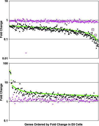 FIG. 4.