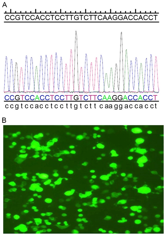 Figure 2.