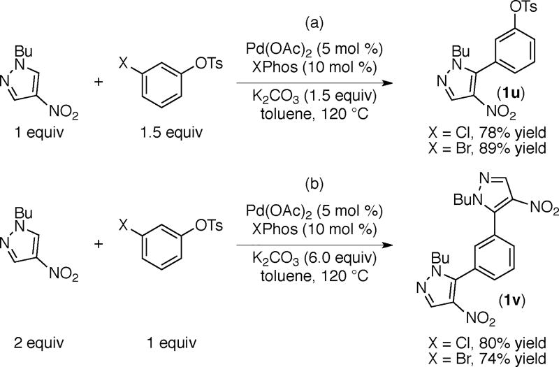 Scheme 8