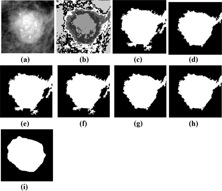 Fig. 6