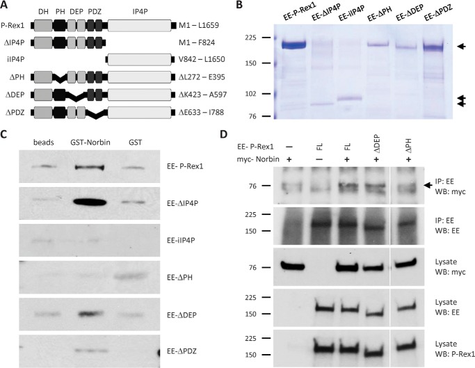 FIGURE 4.