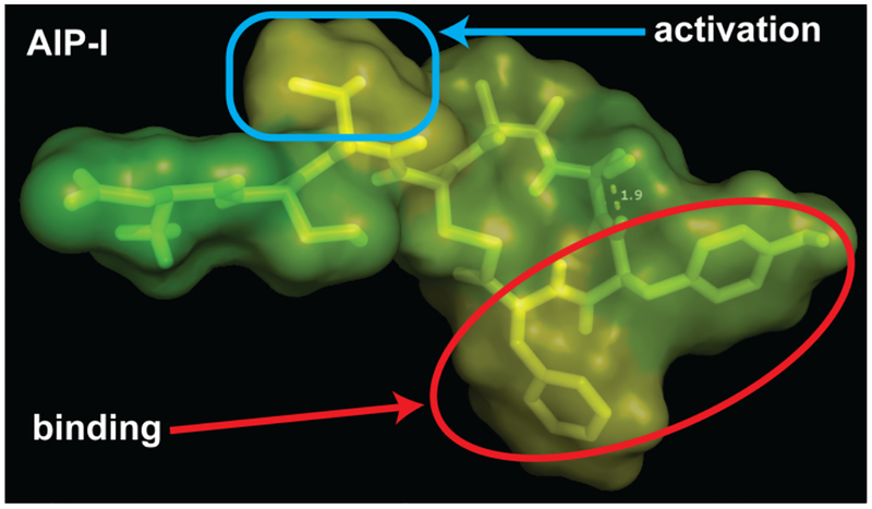 Figure 11.