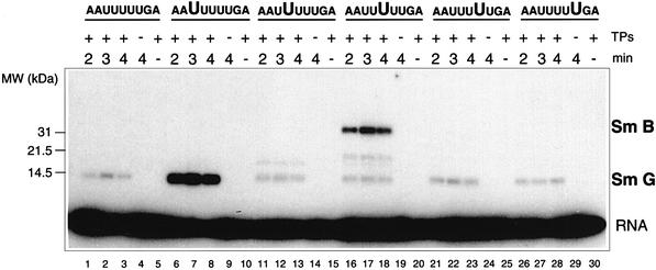 graphic file with name cde018f4.jpg