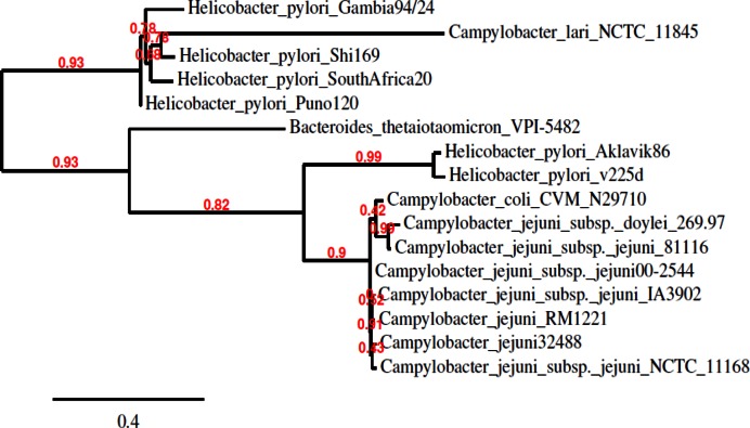 Figure 2.