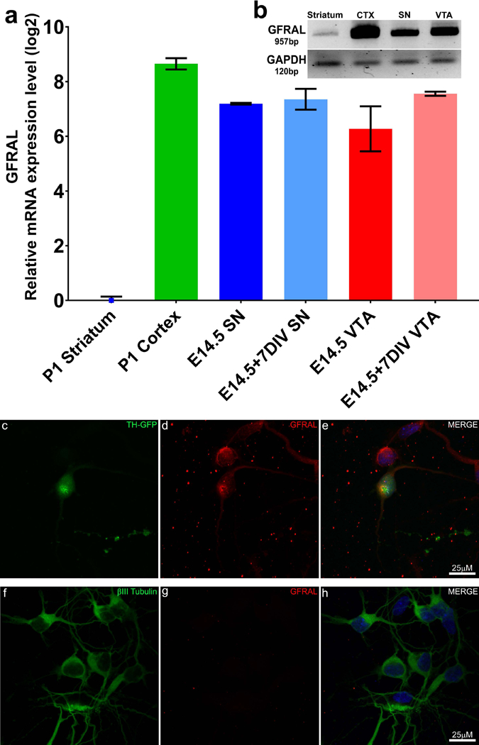 Figure 6: