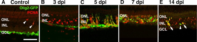 Figure 9.