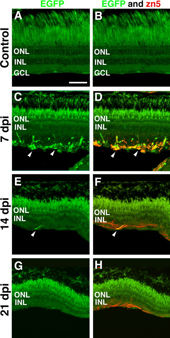 Figure 10.