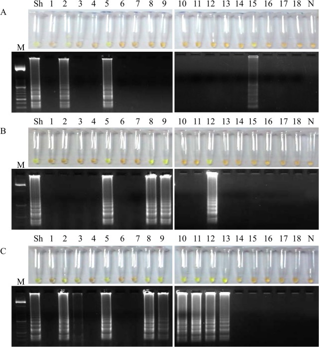 Fig 6