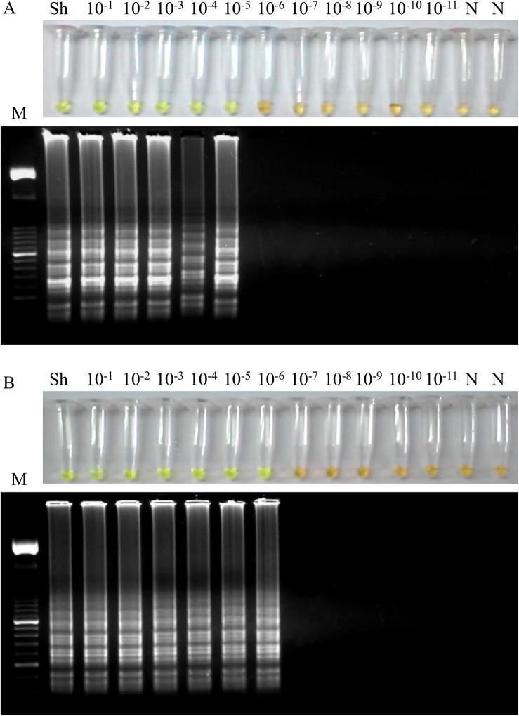 Fig 4