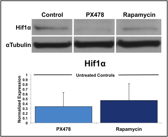 Fig. S1.