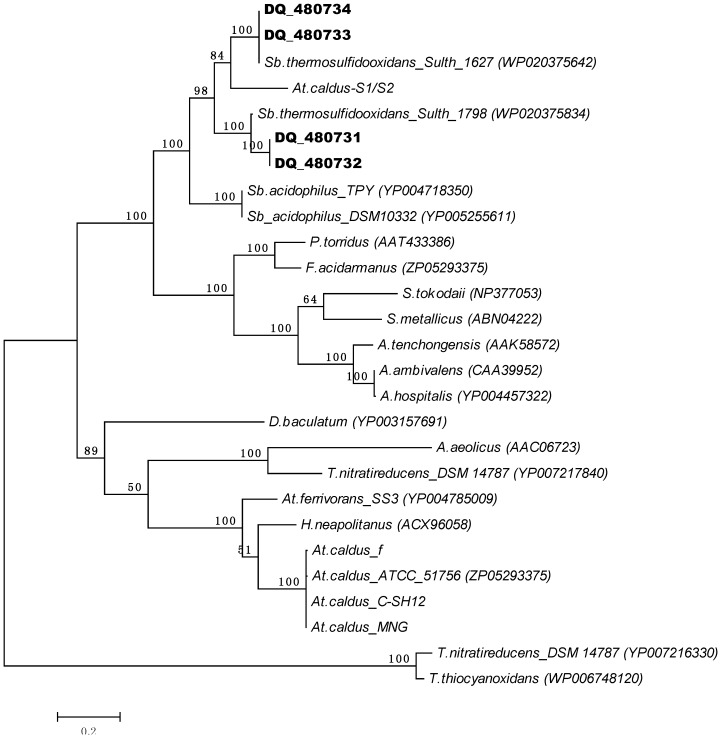 Figure 2