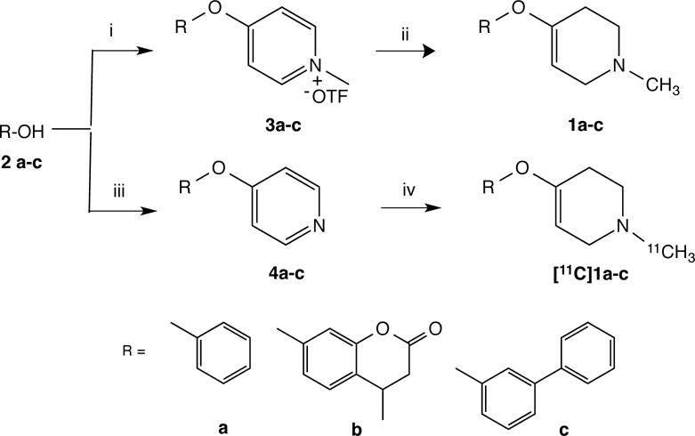 Scheme 1