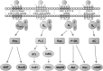 <b>FIG. 2.</b>