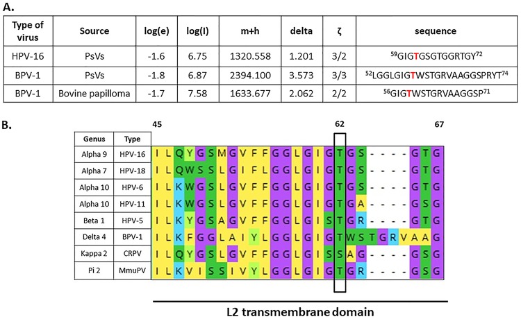 FIG 1