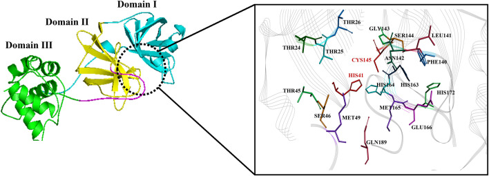 Fig. 1