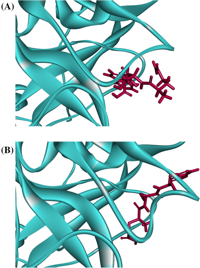 Fig. 8