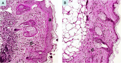 FIG. 6.